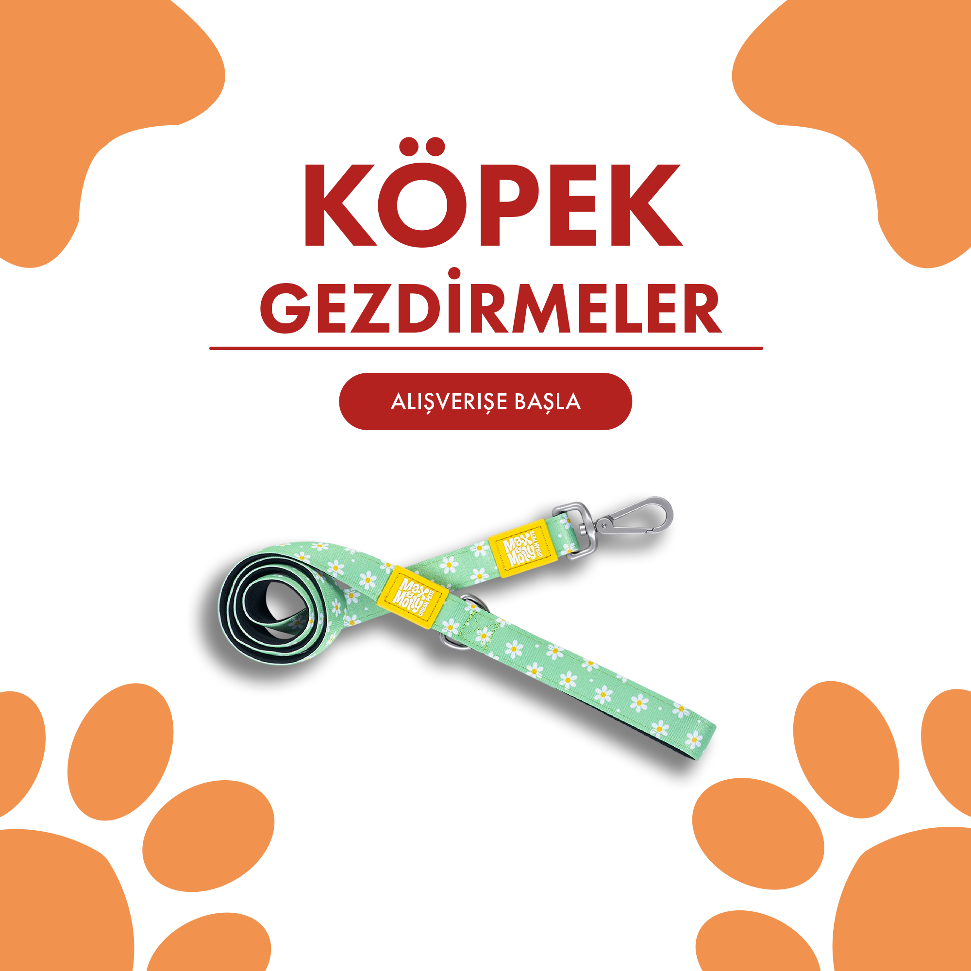 Köpek Gezdirmeler